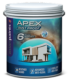 Asian Apex Dust Proof