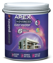 Asian Apex advanced
