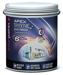 Asian Apex Shyne Adv